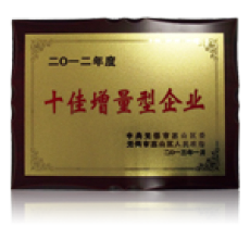 上汽大通荣誉展示