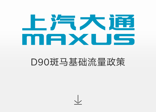 D90斑马基础流量政策